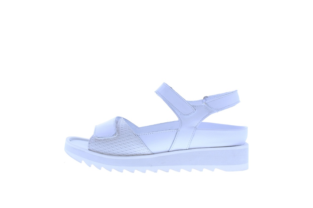 2356-61-218-2805 Celine sandaal